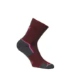 FRILUFTS NEFUD SOCKS 2-PACK Unisex - Wandersocken